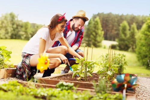 Healthy green lawn care in North Kensington garden