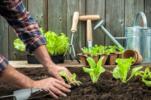 Gardening team arranging a service booking agreement