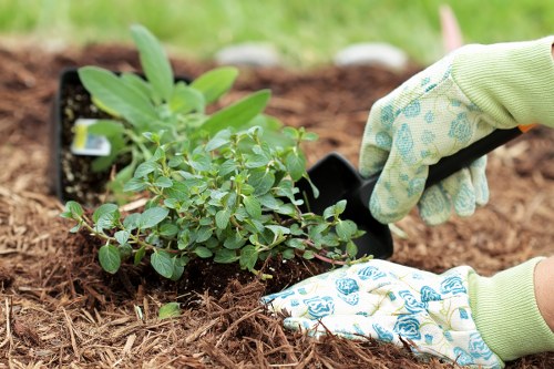 Local garden care service in North Kensington