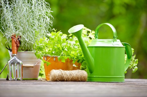 Responsible garden waste disposal after clearance in North Kensington