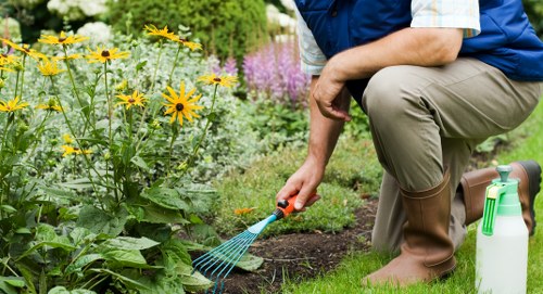 Professional lawn mowing in a shaded North Kensington outdoor space