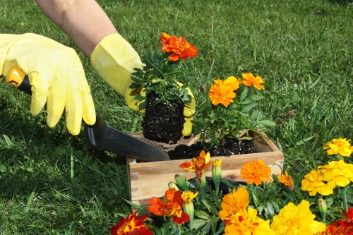 North Kensington garden upkeep with lawn care and pruning work
