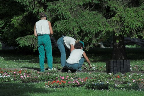 Tidy and healthy hedge maintenance for North Kensington homes