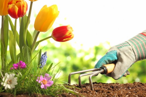 Screen-reader friendly gardening content in North Kensington