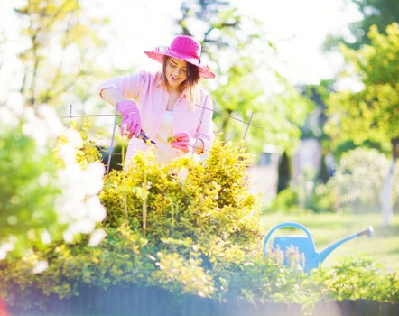 Professional lawn treatment improving grass in North Kensington