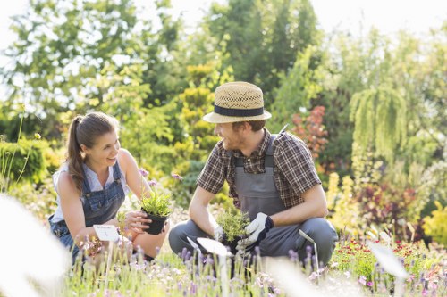 North Kensington garden maintenance pricing example for a terrace property