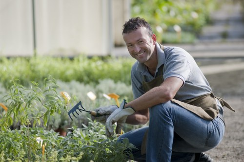 Professional garden maintenance in North Kensington