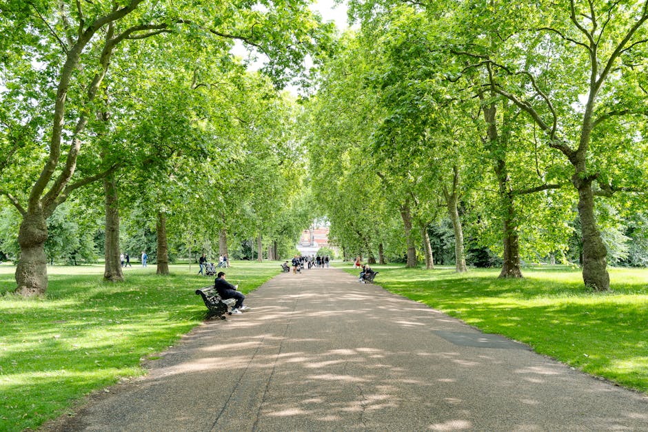 A wide, straight walkway in a lush, green park lined with mature deciduous trees on both sides. The trees have dense foliage with bright green leaves creating a canopy overhead, casting dappled sunlig