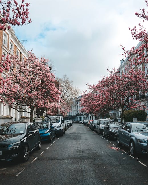 A wide, straight walkway in a lush, green park lined with mature deciduous trees on both sides. The trees have dense foliage with bright green leaves creating a canopy overhead, casting dappled sunlig